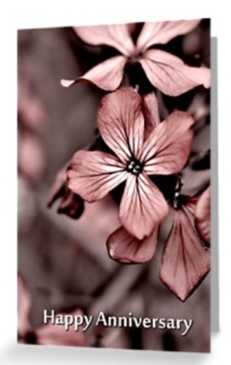 Happy anniversary