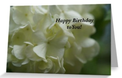 Happy birthday to you