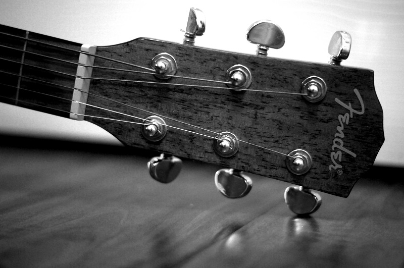 fender offshoots12.com