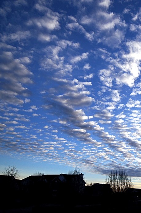 fresh offshoots12.com