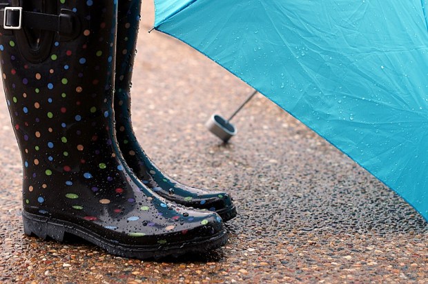 rain offshoots12.com