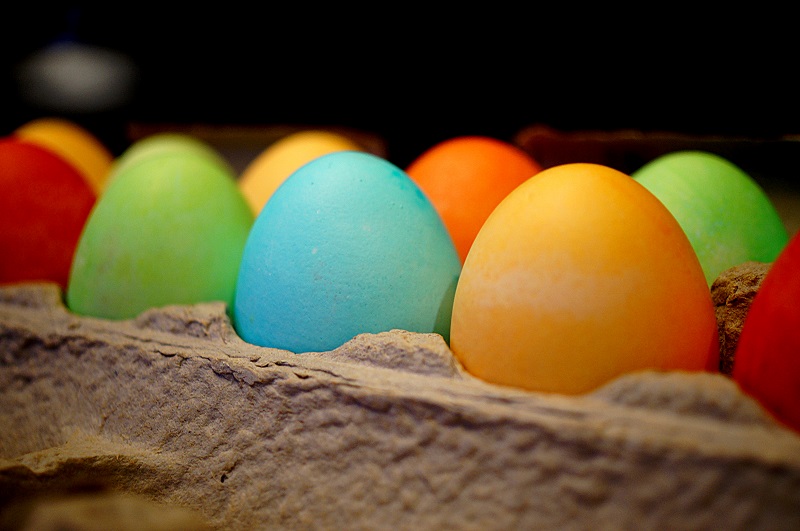 eggs2 offshoots12.com