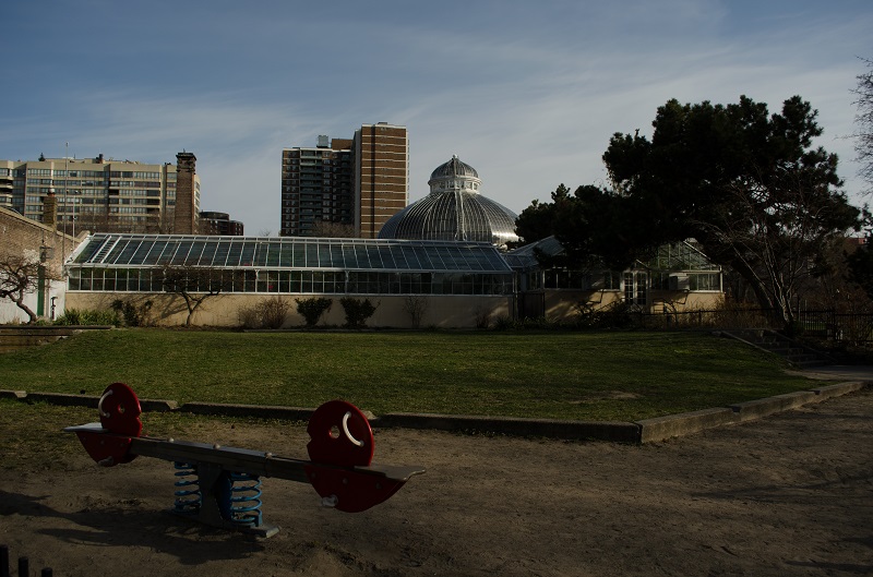 Photo by Shane Francescut 