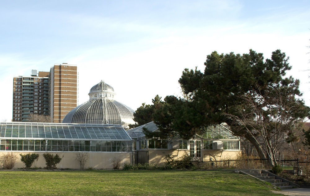 Photo by Shane Francescut; edited by Sheila