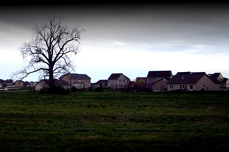 suburbia 1 offshoots12.com