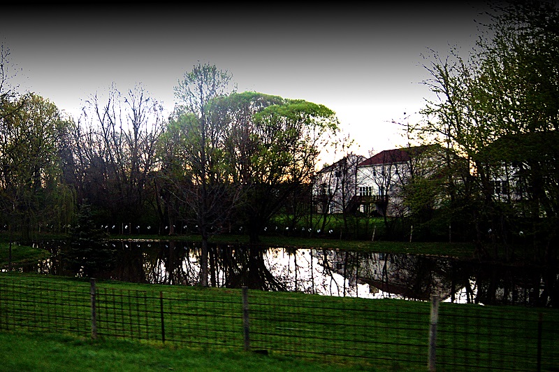 suburbia 2 offshoots12.com