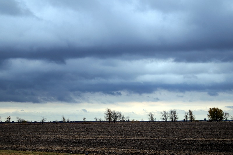 IL farmland http://offshoots12.com