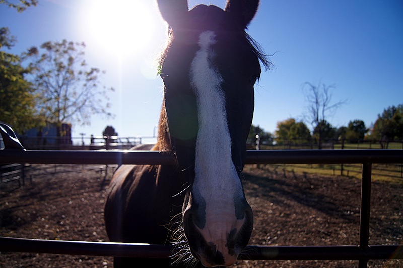 hey http://offshoots12.com