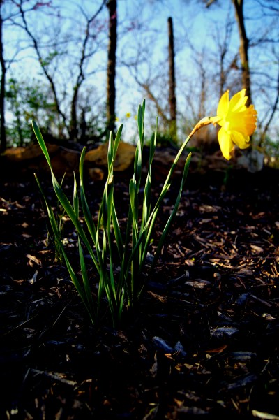 bold http://offshoots12.com