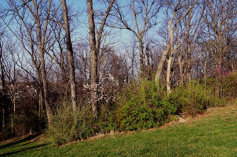 escaping http://offshoots12.com