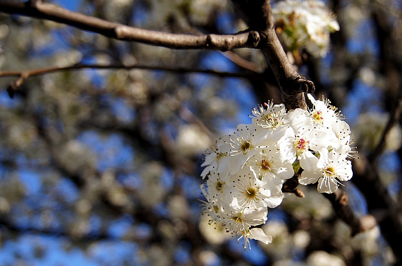 lovelies http://offshoots12.com