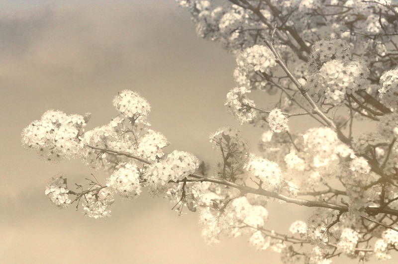 memories http://offshoots12.com