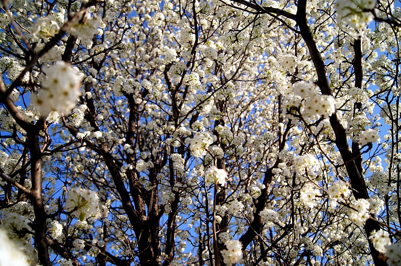 up bradford http://offshoots12.com