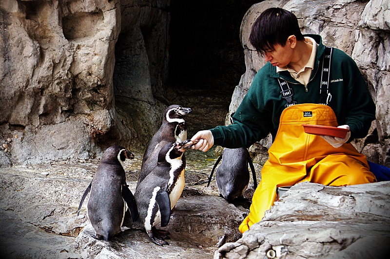 feed me http://offshoots12.com