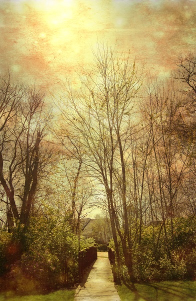 neigh http://offshoots12.com