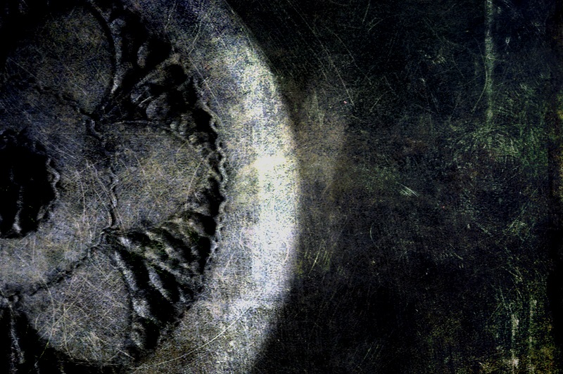 scathed http://offshoots12.com