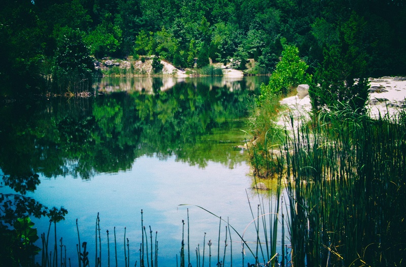 greenery http://offshoots12.com