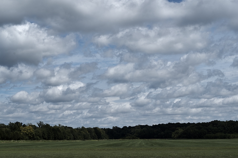 cloudy field http://offshoots12.com