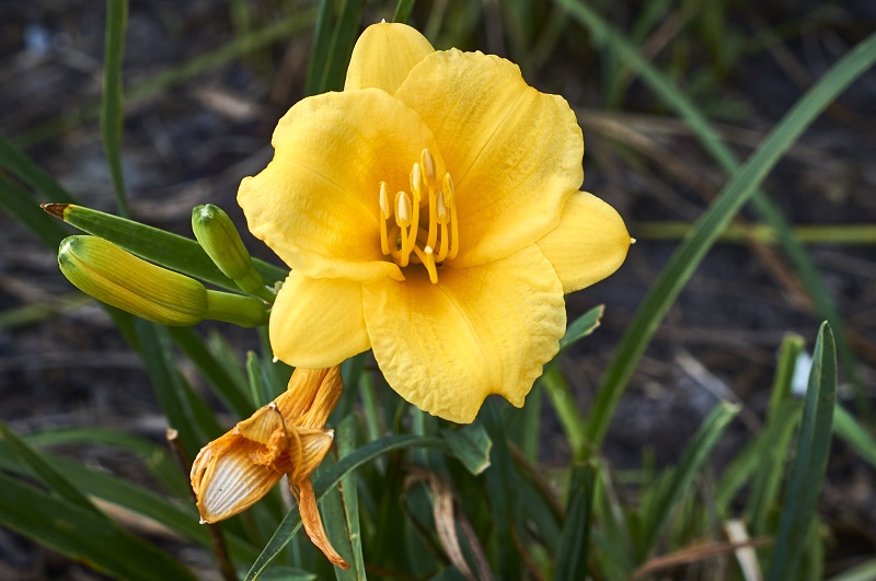 from-beginning-to-end