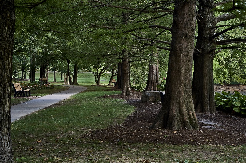 through the woods http://offshoots12.com