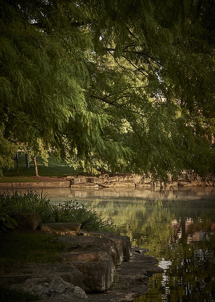 edge http://offshoots12.com