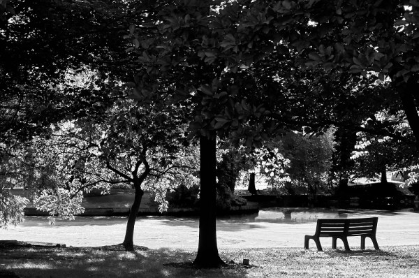monochrome-park-bench