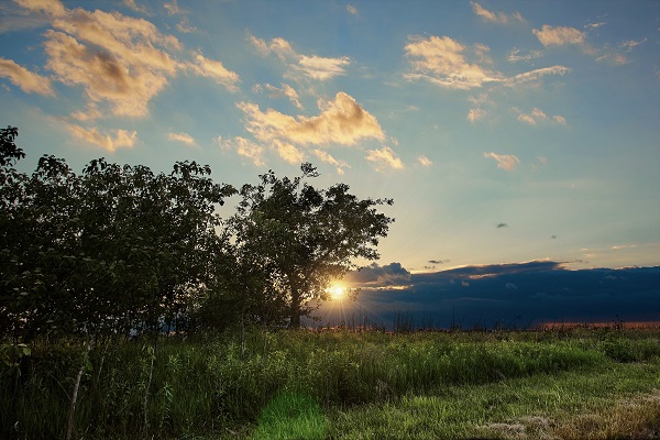 sunset trail website