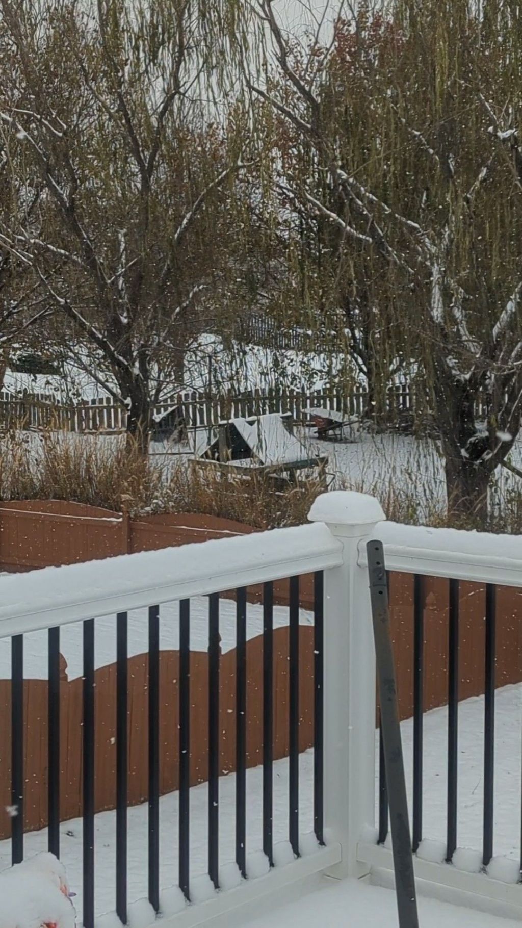 First Snow Last&nbsp;Week