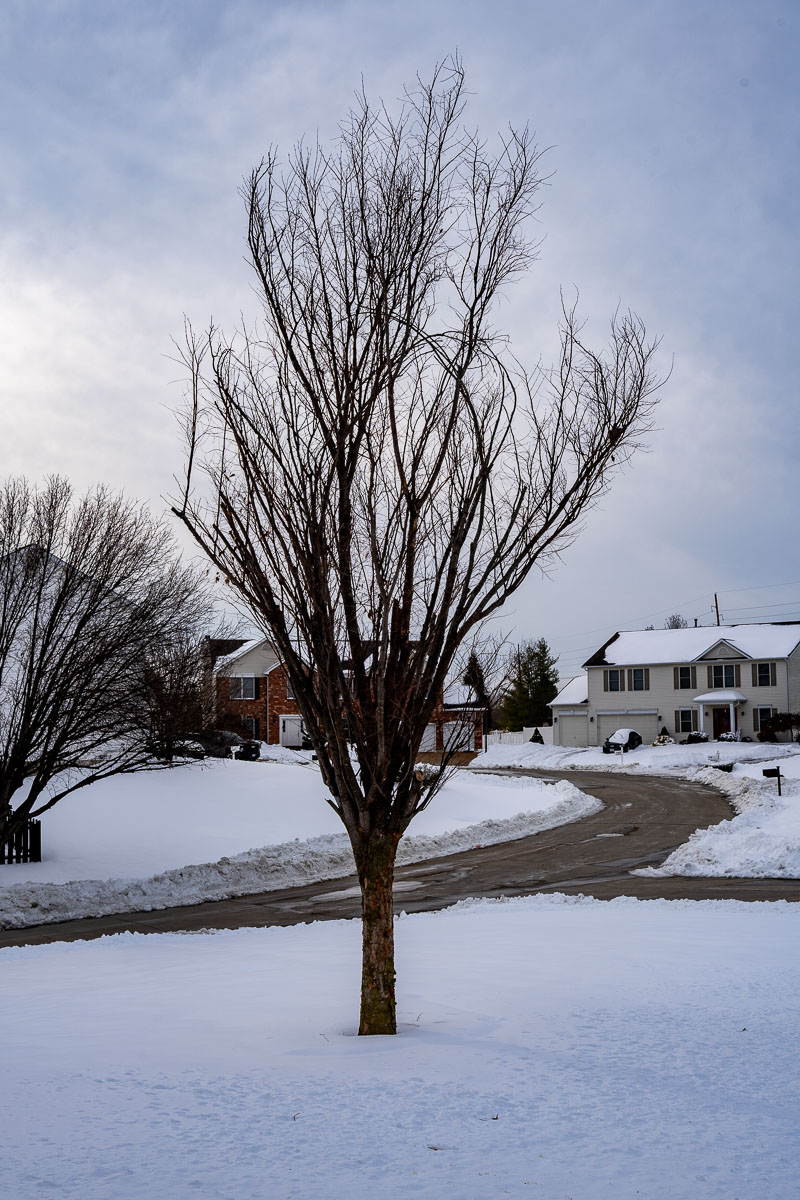 Exploring the Snow Around My&nbsp;Home