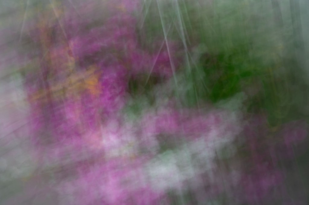 ICM No. 333 and&nbsp;Volunteering