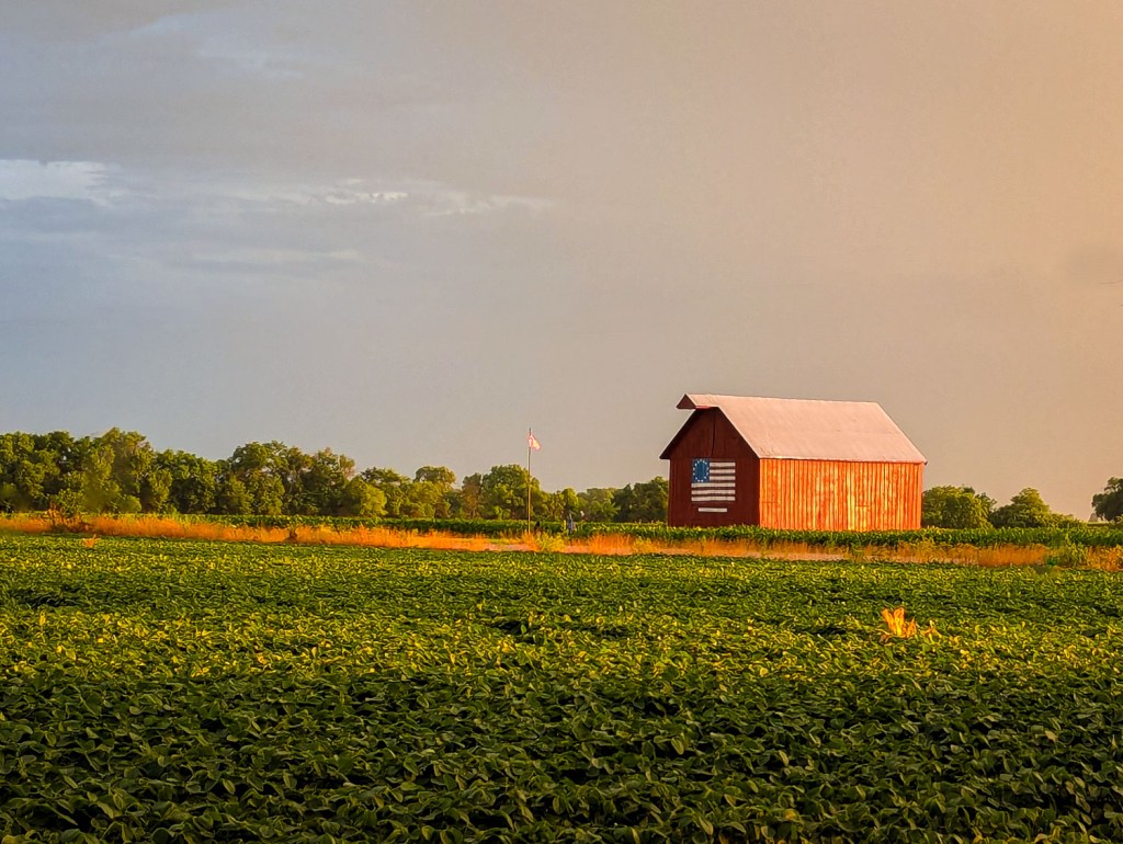 Freedom is a State of&nbsp;Mind