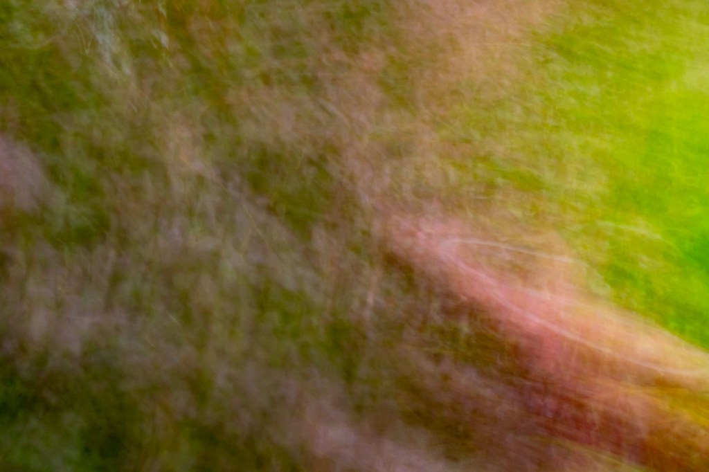 ICM No. 338 and 339 and Wonky&nbsp;Eyes