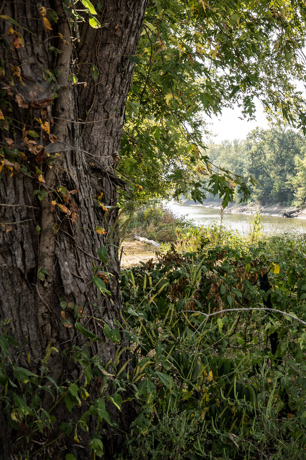 It’s All in How You Frame It!