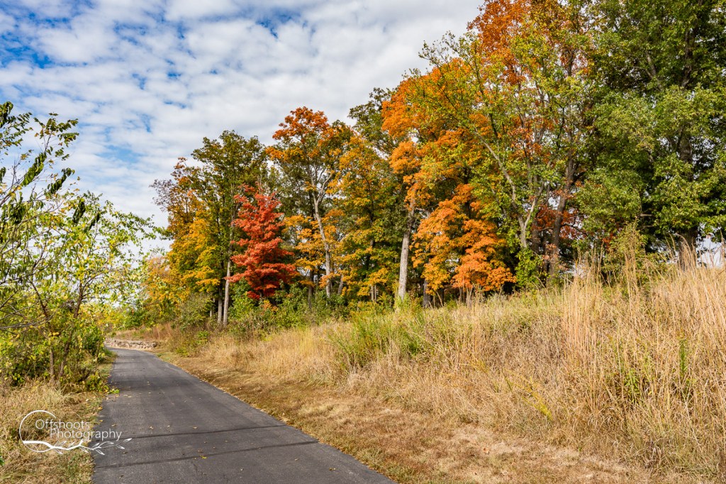 Fall Colors in Missouri So&nbsp;Far