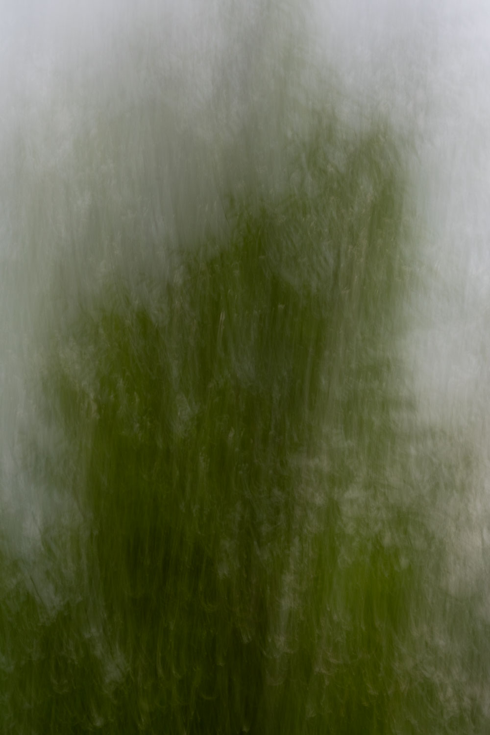 ICM No. 341 and&nbsp;342