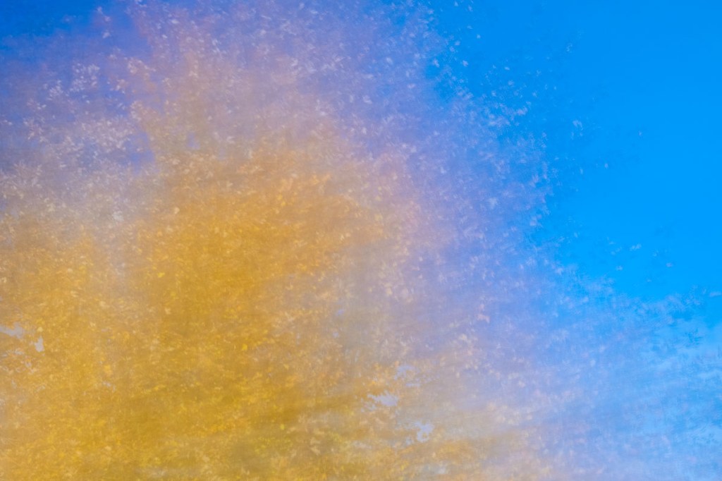 ICM No. 349 Fall into&nbsp;Fall