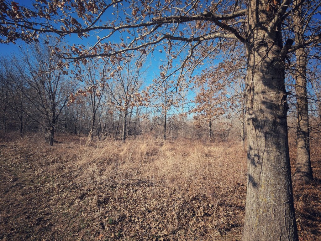 Long Time No Nature&nbsp;Pics