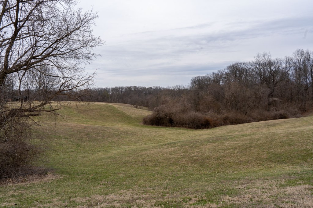 Sony Nature Pictures