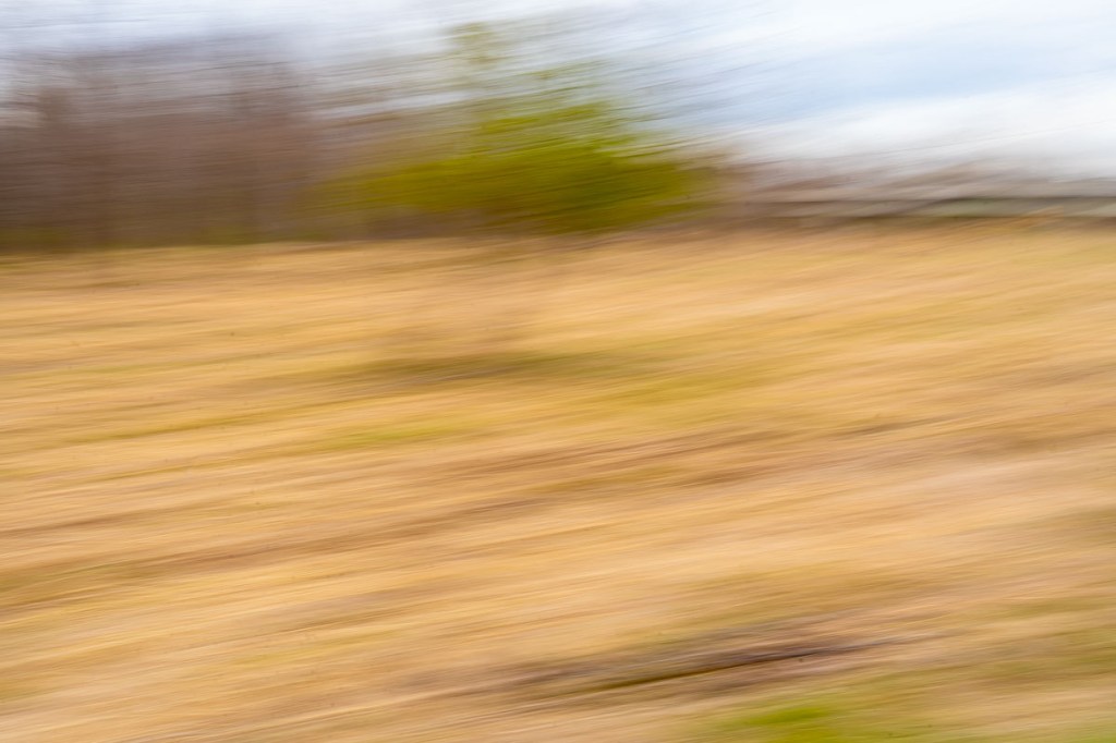 ICM No. 366 –&nbsp;Windy