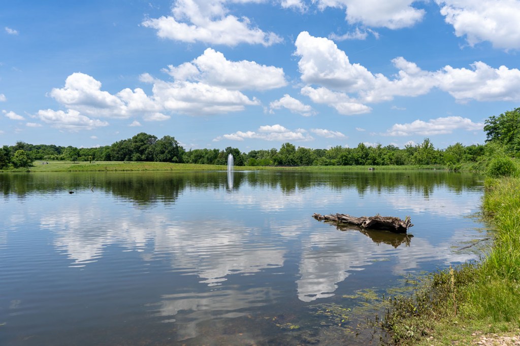 Blue Skies and Cloud Reflections