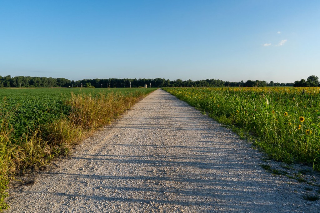 Vanishing Point