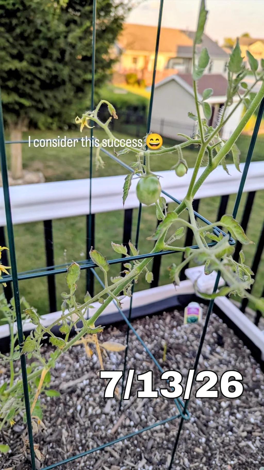 My First Garden